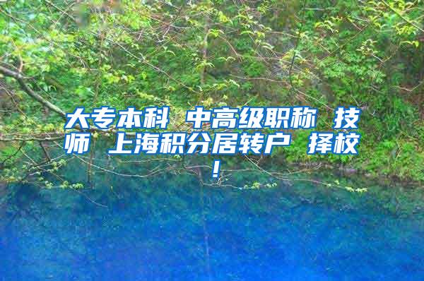 大专本科 中高级职称 技师 上海积分居转户 择校！