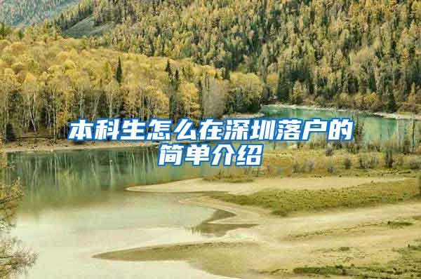 本科生怎么在深圳落户的简单介绍