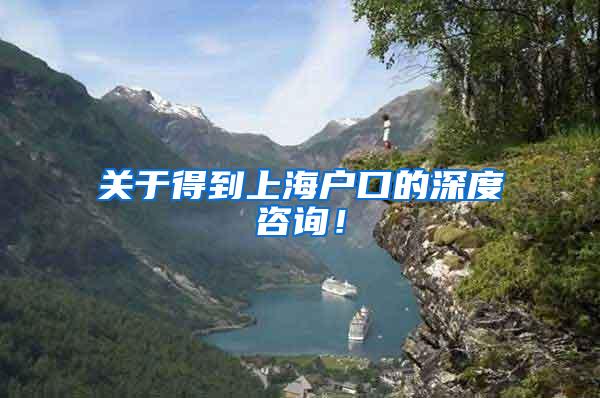 关于得到上海户口的深度咨询！