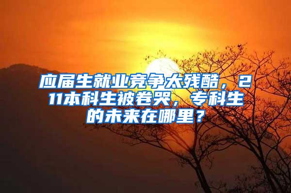 应届生就业竞争太残酷，211本科生被卷哭，专科生的未来在哪里？