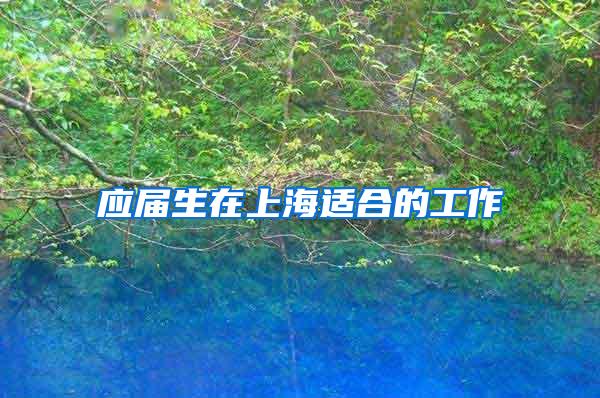 应届生在上海适合的工作