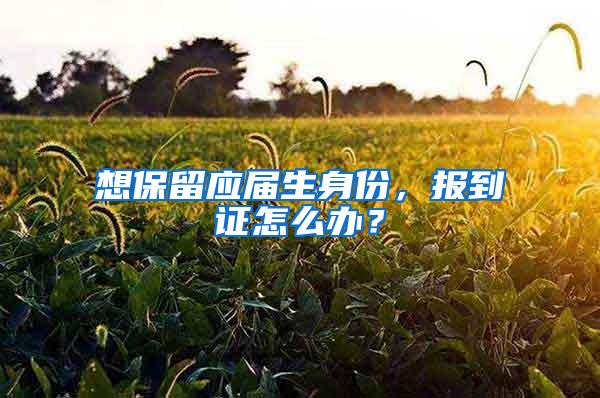 想保留应届生身份，报到证怎么办？