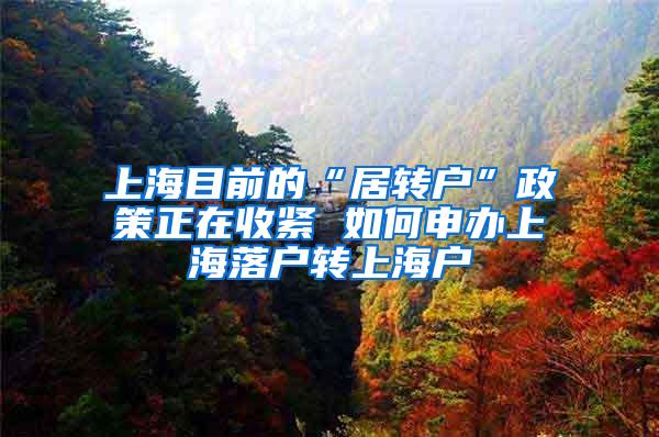 上海目前的“居转户”政策正在收紧 如何申办上海落户转上海户