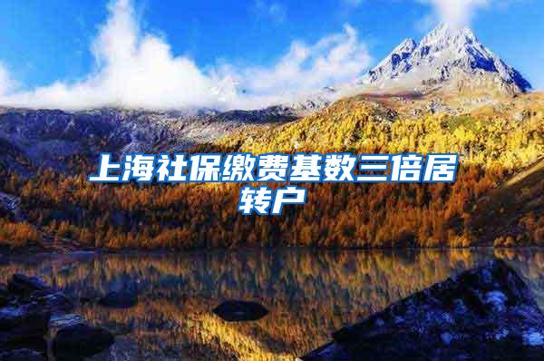 上海社保缴费基数三倍居转户