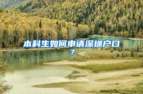 本科生如何申请深圳户口？