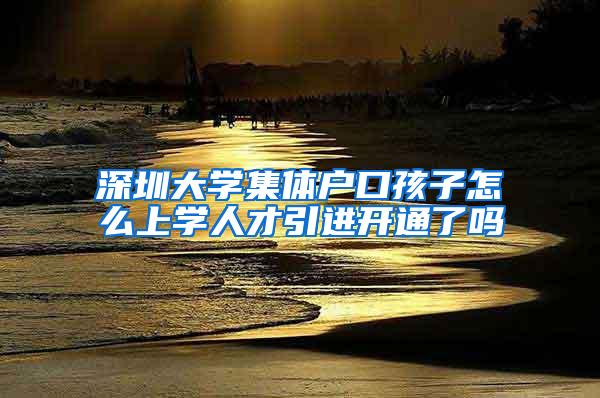 深圳大学集体户口孩子怎么上学人才引进开通了吗