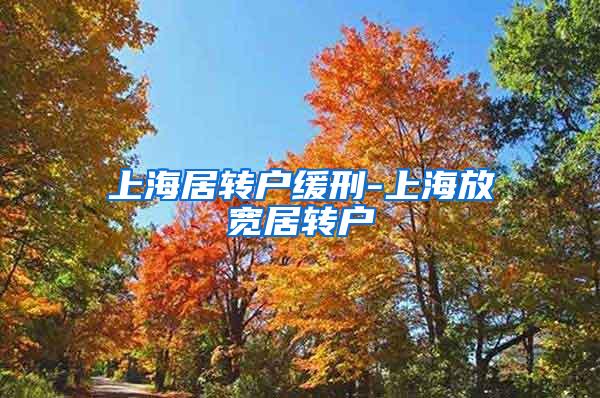 上海居转户缓刑-上海放宽居转户