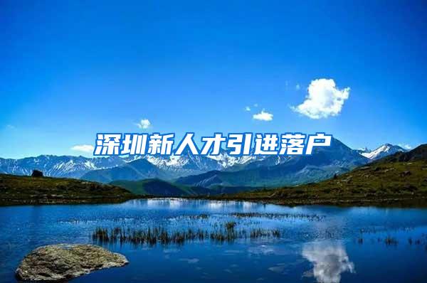 深圳新人才引进落户