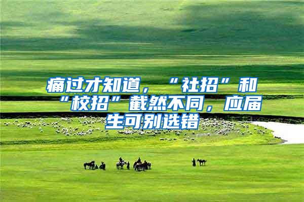 痛过才知道，“社招”和“校招”截然不同，应届生可别选错