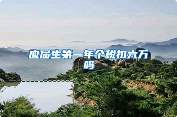 应届生第一年个税扣六万吗