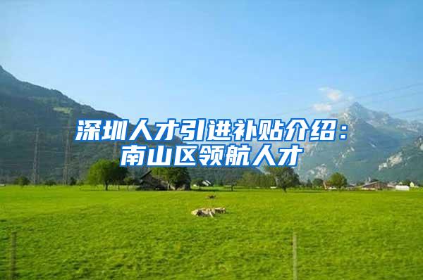 深圳人才引进补贴介绍：南山区领航人才