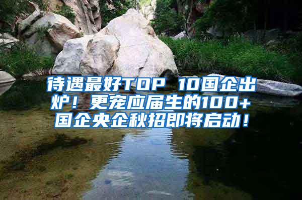 待遇最好TOP 10国企出炉！更宠应届生的100+国企央企秋招即将启动！