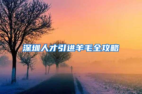 深圳人才引进羊毛全攻略