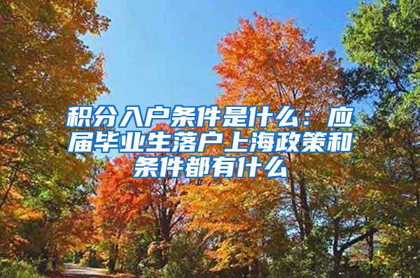 积分入户条件是什么：应届毕业生落户上海政策和条件都有什么