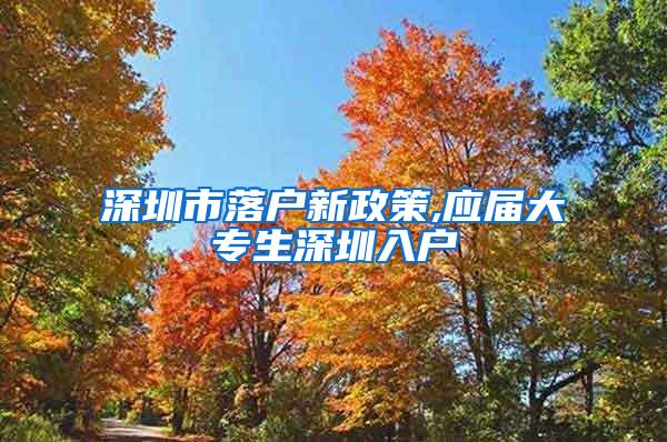 深圳市落户新政策,应届大专生深圳入户