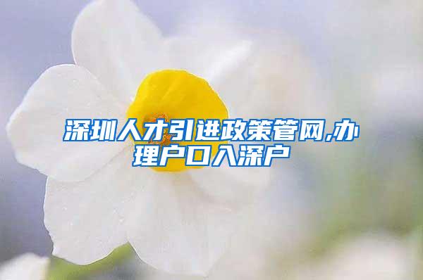 深圳人才引进政策管网,办理户口入深户