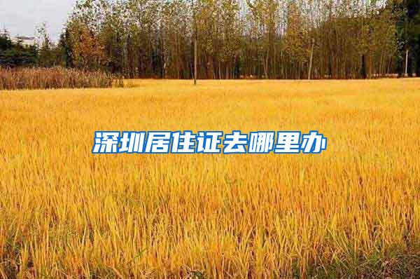 深圳居住证去哪里办
