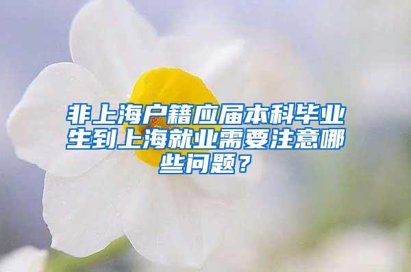 非上海户籍应届本科毕业生到上海就业需要注意哪些问题？