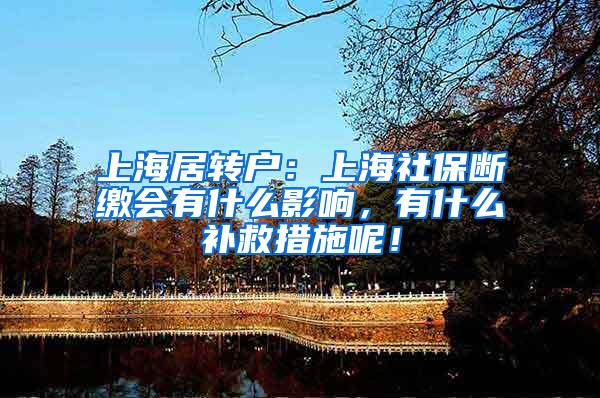 上海居转户：上海社保断缴会有什么影响，有什么补救措施呢！