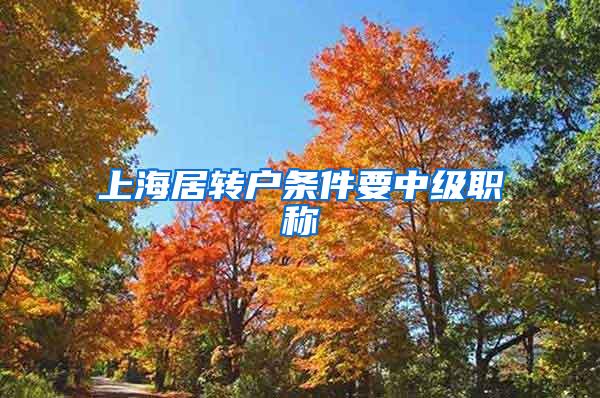 上海居转户条件要中级职称