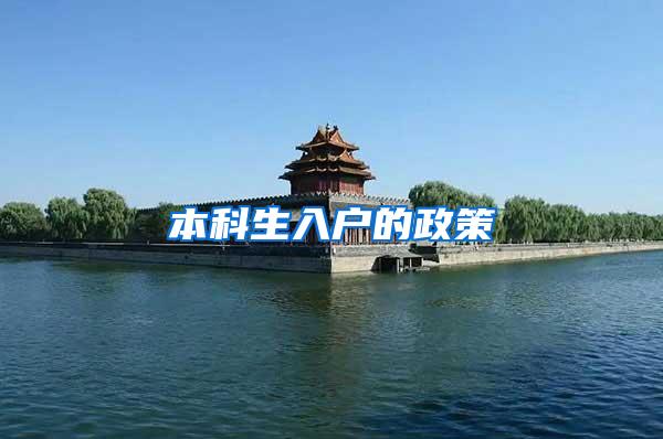 本科生入户的政策