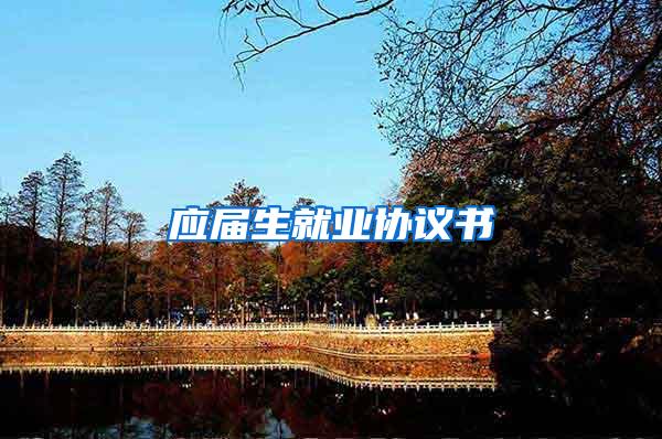 应届生就业协议书