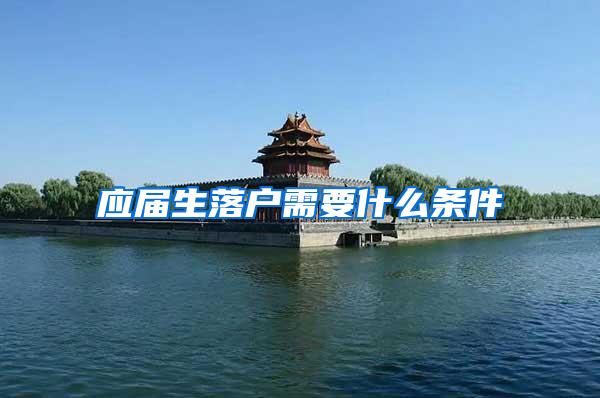 应届生落户需要什么条件