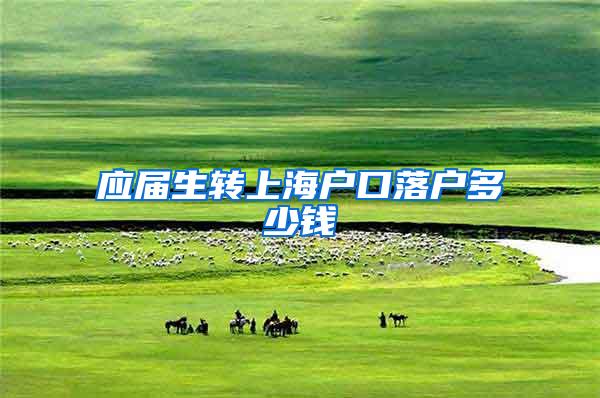 应届生转上海户口落户多少钱