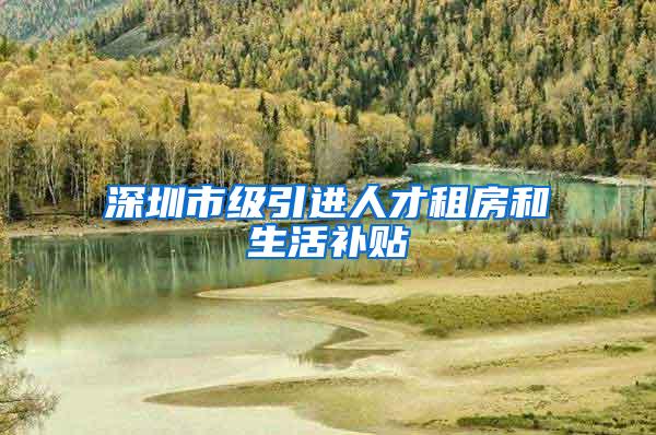 深圳市级引进人才租房和生活补贴