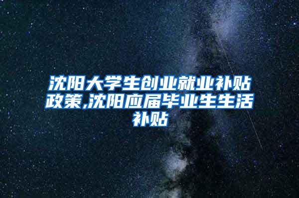 沈阳大学生创业就业补贴政策,沈阳应届毕业生生活补贴