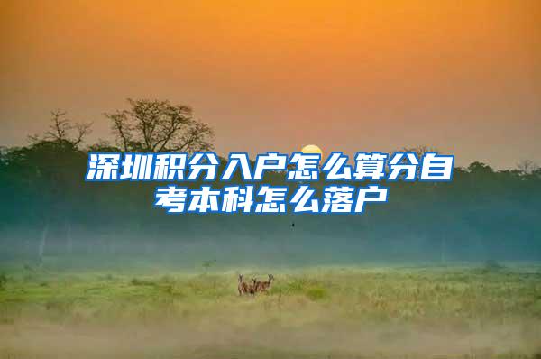 深圳积分入户怎么算分自考本科怎么落户