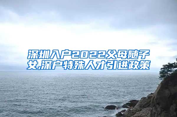 深圳入户2022父母随子女,深户特殊人才引进政策