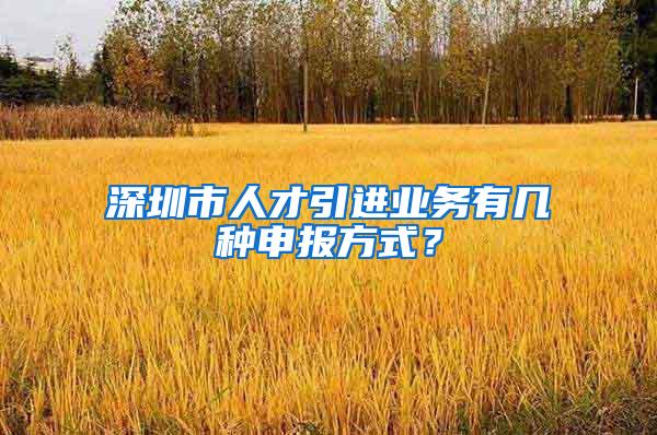 深圳市人才引进业务有几种申报方式？