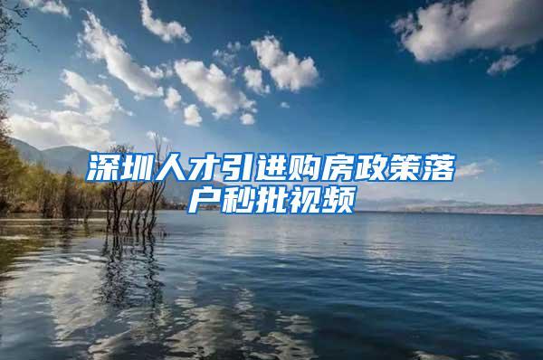 深圳人才引进购房政策落户秒批视频