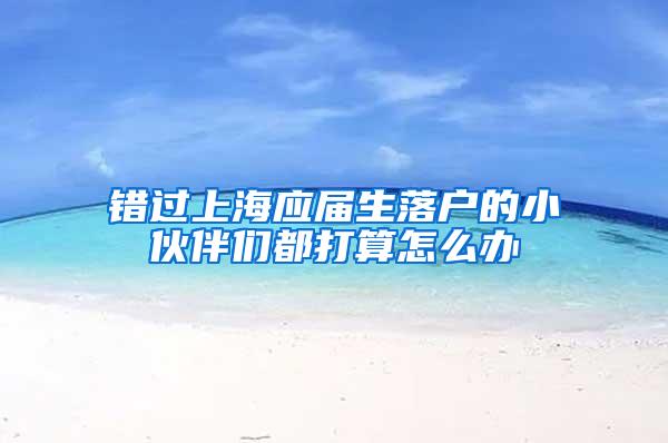 错过上海应届生落户的小伙伴们都打算怎么办