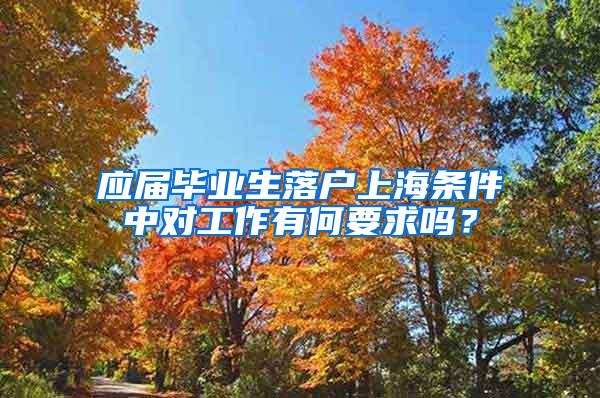 应届毕业生落户上海条件中对工作有何要求吗？