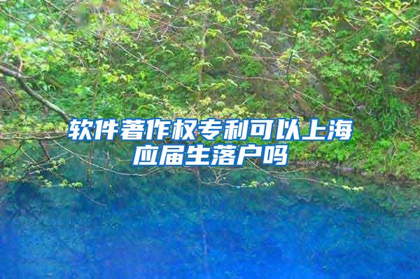 软件著作权专利可以上海应届生落户吗