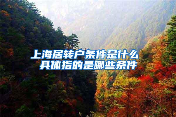 上海居转户条件是什么 具体指的是哪些条件