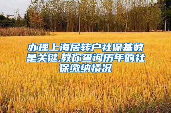 办理上海居转户社保基数是关键,教你查询历年的社保缴纳情况