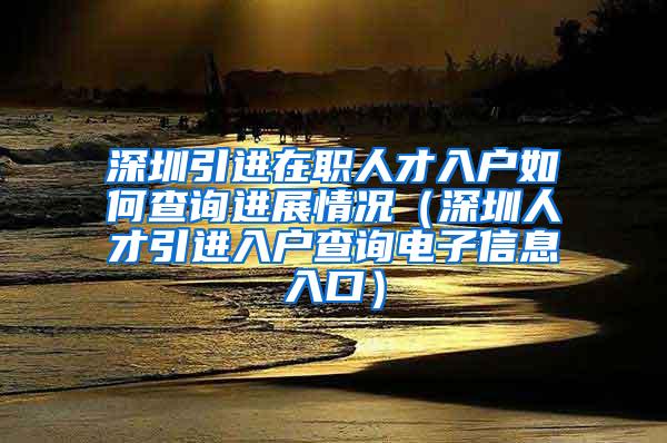 深圳引进在职人才入户如何查询进展情况（深圳人才引进入户查询电子信息入口）