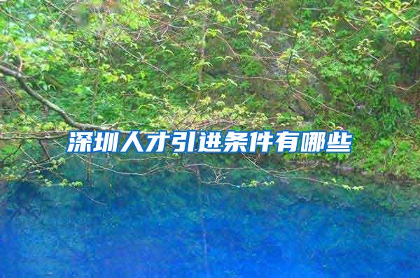 深圳人才引进条件有哪些