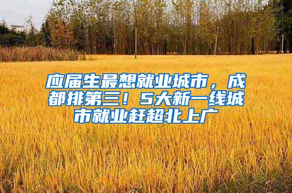 应届生最想就业城市，成都排第三！5大新一线城市就业赶超北上广