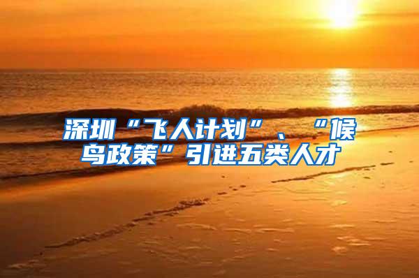 深圳“飞人计划”、“候鸟政策”引进五类人才