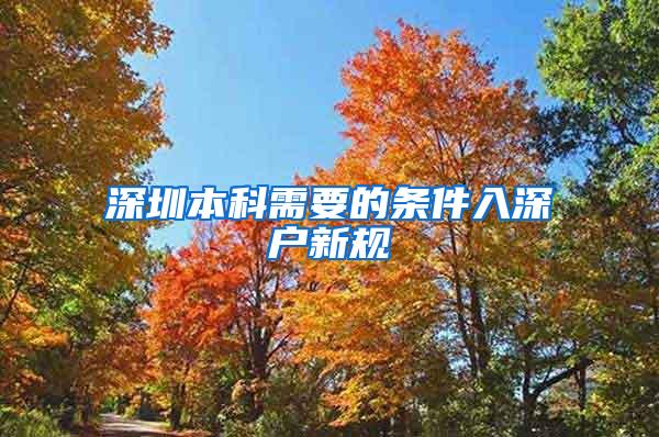 深圳本科需要的条件入深户新规