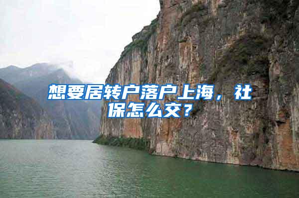 想要居转户落户上海，社保怎么交？