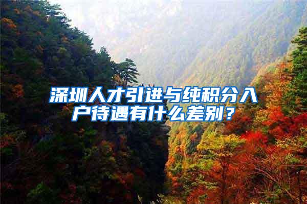 深圳人才引进与纯积分入户待遇有什么差别？
