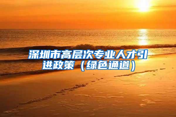 深圳市高层次专业人才引进政策（绿色通道）