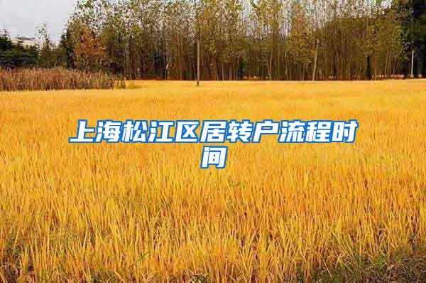 上海松江区居转户流程时间