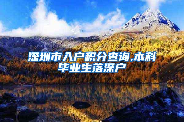 深圳市入户积分查询,本科毕业生落深户