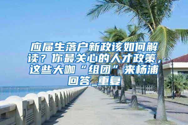 应届生落户新政该如何解读？你最关心的人才政策，这些大咖“组团”来杨浦回答_重复